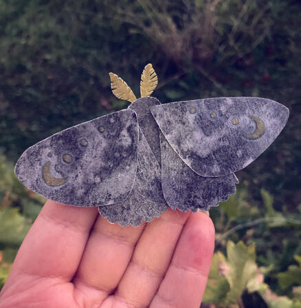 Moth with golden antennae